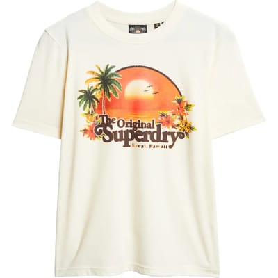 Superdry - Travel Souvenir T-shirt met relaxte pasvorm - Dames - T-shirts