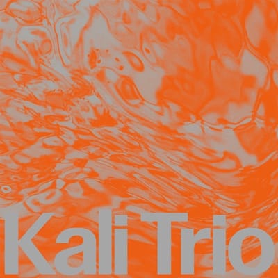 The Playful Abstract - Kali Trio