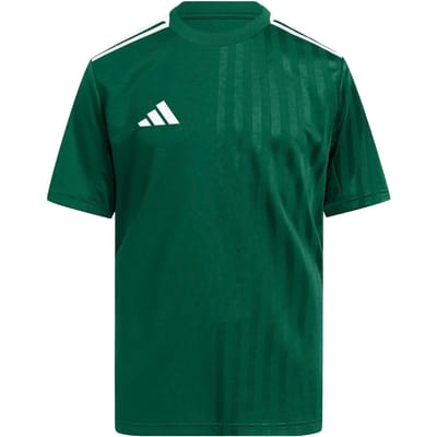 Adidas Campeon 25 T-shirt Met Korte Mouwen Groen 15-16 Years Kinderen