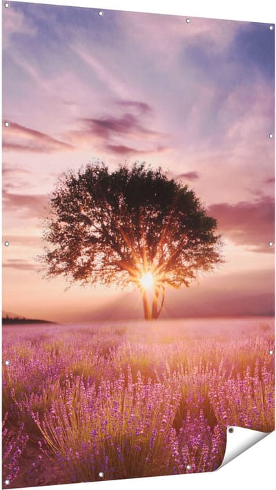 Gards Tuinposter Bloemenveld met Lavendel bij Zonsondergang - 120x180 cm - Tuindoek - Tuindecoratie - Wanddecoratie buiten - Tuinschilderij