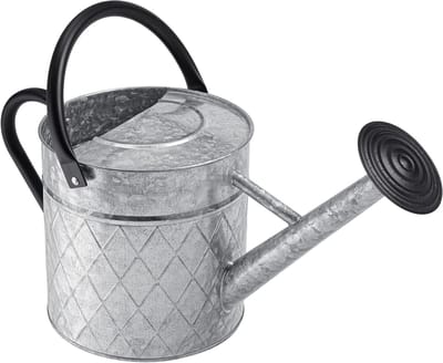 Metalen Gieter - Zinken Waterkan - Buitenplanten Water Geven - Grote Capaciteit 6.6L - 21x48x21 cm - Zilver