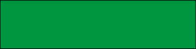 Blanco magneetsticker - groen 200 x 50 mm