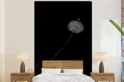 Behang - Fotobehang Bloemen - Paardenbloem - Zaden - Zwart - Wit - Breedte 200 cm x hoogte 300 cm