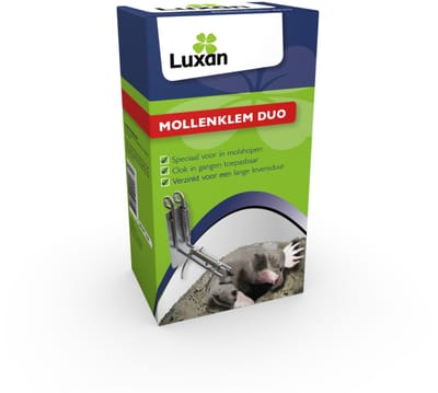 Luxan Mollenklem Duo