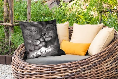 Sierkussen Buiten - Leeuwen - Dieren - Zwart - Wit - Leeuw - 60x60 cm - Weerbestendig