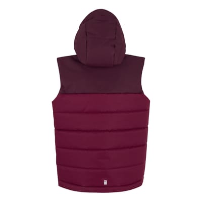 Regatta Lofthouse Bodywarmer voor kinderen/Kinderen (Vijg/Dark Pimento)