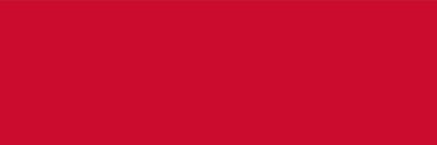 Vlag Nijmegen 120x180cm