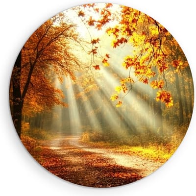 Saammp Muurcirkel Hout - Botanisch - Zonneschijn - Herfstachtig - Landschap - Natuur - Ø 90 - Wandcirkel - Wanddecoratie Cirkel - Muurdecoratie Woonkamer - Slaapkamer decoratie - Rond Schilderij