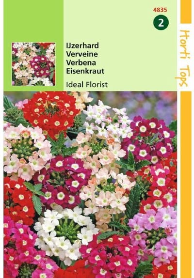 Ijzerhard Bloemzaad - Ideal Florist - Gemengd