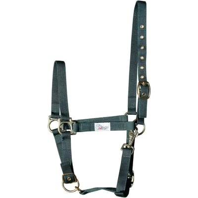 Harry's paardenhalster 3x verstelbaar
