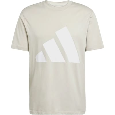 Adidas Essentials Big Logo T-shirt Met Korte Mouwen Beige S / Regular Man