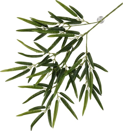 Terra Della - Terrariumplant - Reptielen - Hangende Plant Bamboe 65x35x4cm Groen - 1st