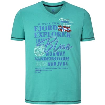 Jan Vanderstorm herren T-Shirt - 64/66 - groen - Plus Size