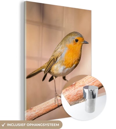 MuchoWow® Glasschilderij 30x40 cm - Schilderij acrylglas - Vogel - Tak - Roodborstje - Foto op glas - Schilderijen