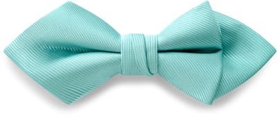 Babyblauwe Voorgestrikte Grosgrain Vlinderdas met Ruitvormige Punt