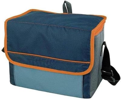 Zachte Mini Koelbox - Isolatietas Lunchtas - Dranken Koel Houden - Deksel Met Ritssluiting - 5 Liter - Meerkleurig