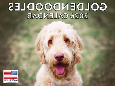 Goldendoodle Kalender - Golden Doodle Maandkalender - Leven Organiseren - Amerikaans Gemaakt - 12 Maanden - Multicolor