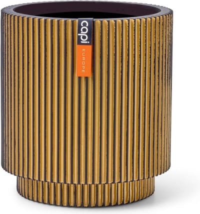 Capi Europe - Vaas cilinder Groove Black & Gold - 15x17 - Goud - Opening Ø13 - Bloempot voor binnen - 5 jaar garantie - BGVGB313