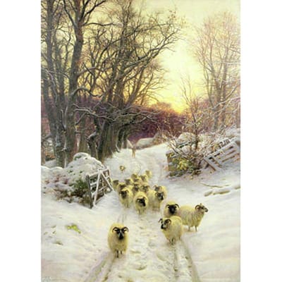Diamant borduurwerk sneeuw schapen DIY ronde diamant schilderij kruissteek diamant schilderij 20X30CM beige