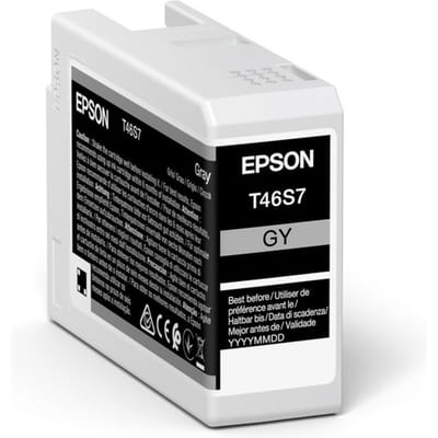 Epson UltraChrome Pro inktcartridge 1 stuk origineel grijs