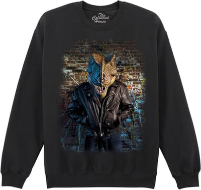 Dino Nas T-Rex The Coloured House Sweater S