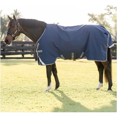 Outdoor paardendeken Horseware Rhino 100g