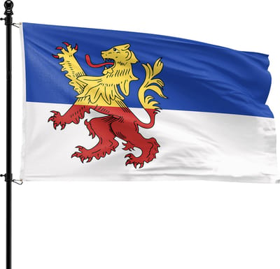 VlagDirect - Neder-Betuwe vlag - Gemeente Neder-Betuwe vlag - 90 x 150 cm.