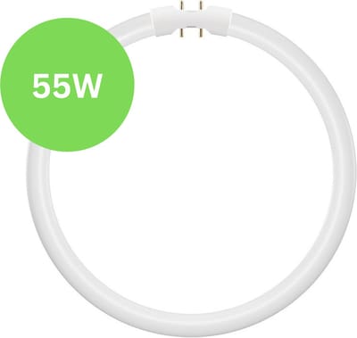 TL5 Cirkel TL-buis 55W – 2GX13 (4-pins) Ø 30cm – 840 Koel Wit – Vervangt Philips/Osram