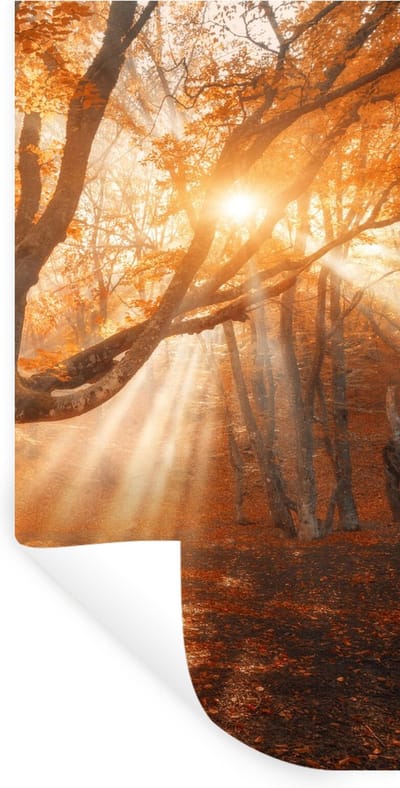 Muurstickers - Sticker Folie - Boom - Natuur - Herfst - 40x80 cm - Plakfolie - Muurstickers Kinderkamer - Zelfklevend Behang - Zelfklevend behangpapier - Stickerfolie