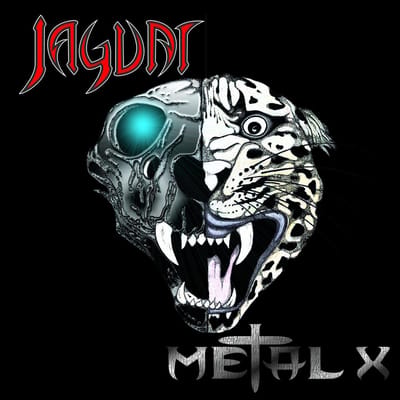 Metal X (Deluxe Edition)