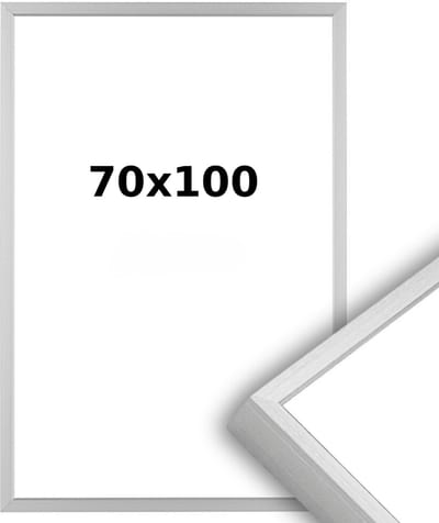 Aluminium Wissellijst 70 x 100 Matzilver - Helder Acrylite - Professional