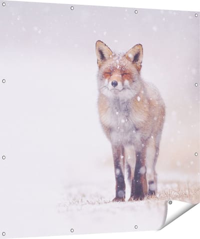 Gards Tuinposter Vos in de Sneeuw - 120x120 cm - Tuindoek - Tuindecoratie - Wanddecoratie buiten - Tuinschilderij