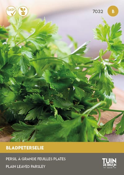 Bladpeterselie Zaden – Petroselinum crispum – Zeer Aromatisch – Ca. 760 Zaden – Kruidenzaden – Moestuin – Tuin de Bruijn