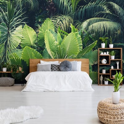 Fotobehang - Planten - Jungle bladeren - Natuur - Vliesbehang - (368 x 254 cm)