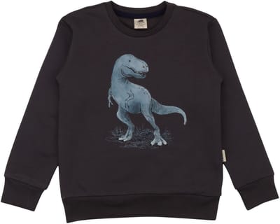 Walkiddy® Kinder Sweatshirt – Jongens & Meisjes – Anthracite serie – Maat 98 – GOTS-gecertificeerd Biologisch Katoen | Comfort & Duurzaamheid voor Kinderen