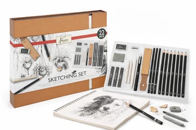 Professionele Tekenset - Grafietpotloden, Houtskoolpotloden, Fineliner Zwart, doezelaars, Schuurpapierblok, Kneedgum & gum - Luxe Giftbox