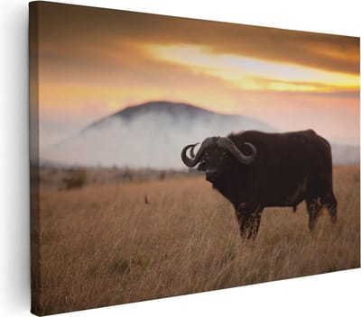 Artaza Canvas Schilderij Dierenkop Buffel - 30x20 cm - Klein - Wanddecoratie Wilde Dieren - Muurdecoratie Afrikaans - Kamer Accessoires Woonkamer