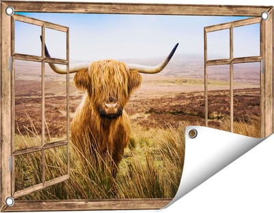 Gards Tuinposter Doorkijk Schotse Hooglander Koe in het Veld - 60x40 cm - Tuindoek - Tuindecoratie - Wanddecoratie buiten - Tuinschilderij