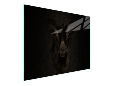 TMK ArtDeko Serie - Snijplank - 52x30 cm - Tempered Glass - Antislip Silicone