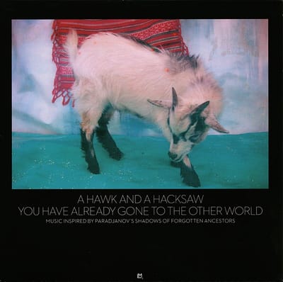 A Hawk And A Hacksaw - You Have Already Gone To The Other World (2 LP)