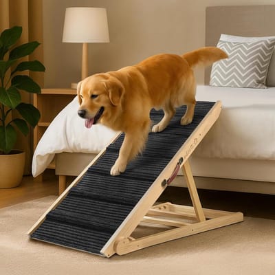 Houten Hondenhelling - Huisdier Oprit - Veilig Omhoog Klimmen - 5 Hoogtes Verstelbaar - Max 60 cm Hoog - Natuurlijk Hout