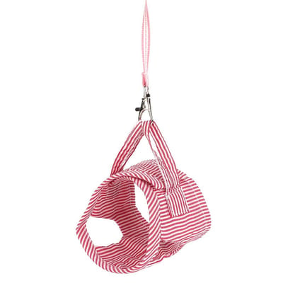 Dailygoods- Harnas Dieren - Verstelbaar Harnas voor Kleine Huisdieren - Harnas met Leash - Zacht Katoen - Geschikt voor Cavia/Chinchilla/Squirrel - Comfortabel en Ademend - Huisdierharnas