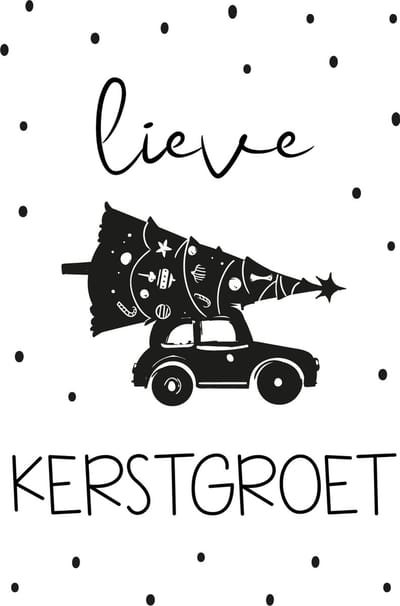 Kerstkaarten 10 stuks - LIEVE KERSTGROET - A6 - zwart wit - Studio Juulz