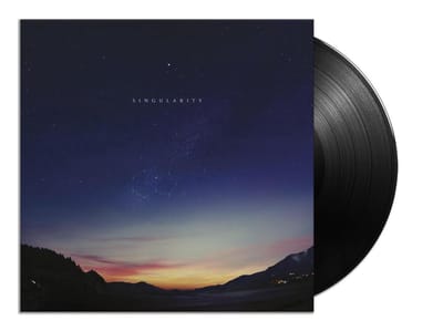 Singularity (LP)