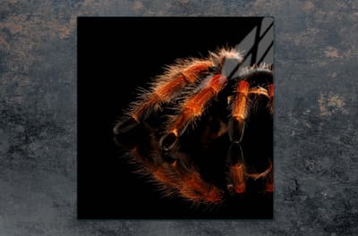 TMK ArtDeko - Snijplank - 50x52 cm - Glazen Panael - Veiligheidspaneel