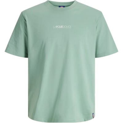 JACK&JONES - JORFOLIE HAZE TEE SS CREW NECK LFD25 - Heren - T-shirts