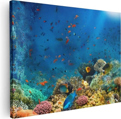 Artaza Canvas Schilderij Koraalrif - 40x30 cm - Klein - Wanddecoratie Tropische Vissen - Muurdecoratie Zee - Schilderijen Op Canvas