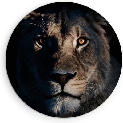 Saammp Muurcirkel Hout - Leeuwen Portret - Lichtval - Dieren - Natuur - Ø 90 - Wandcirkel - Wanddecoratie Cirkel - Muurdecoratie Woonkamer - Slaapkamer decoratie - Rond Schilderij