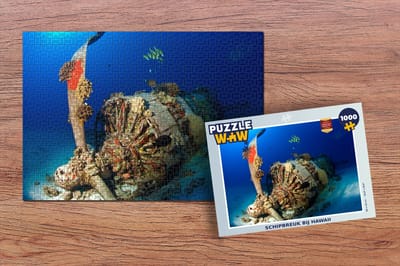 Puzzel Schipbreuk bij Hawaii - Legpuzzel - Puzzel 1000 stukjes volwassenen