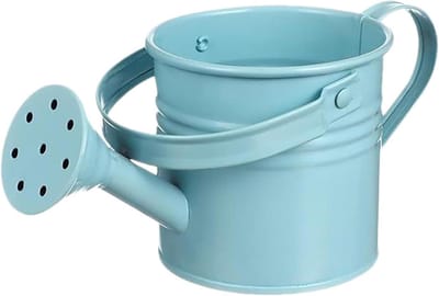 Gieter met handvat - Decoratieve plantenpot - Planten water geven - Roestwerende ijzeren constructie - 22W x 6H cm - Blauw